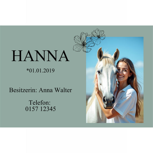 Boxenschild Pferd personalisiert – Modernes Design mit Foto & Namen
