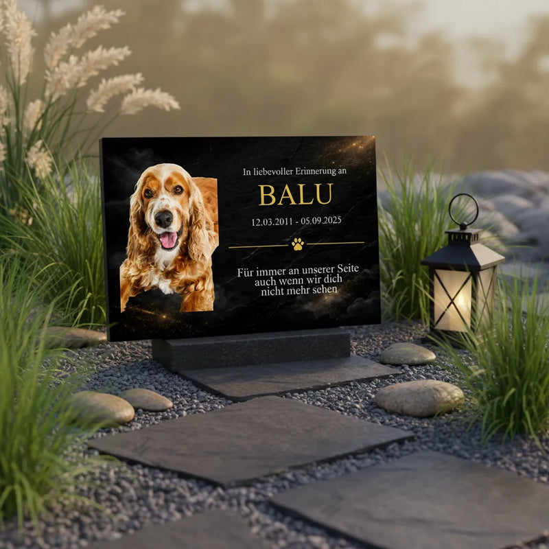 Gedenkschild Hund Modell Aureo – Personalisiert mit Foto, Namen & Datum