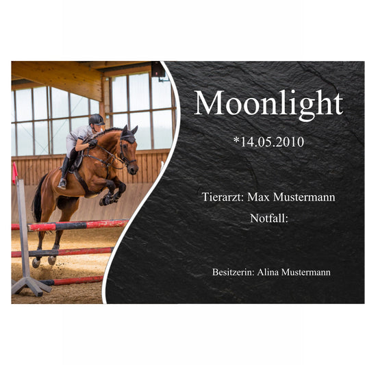 Personalisiertes Boxenschild Pferd – Premium Stall-Schild mit Foto