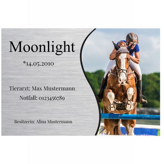 Boxenschild Pferd Modell Moonlight – Sportliches Design mit Foto & Daten