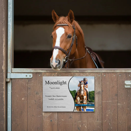 Boxenschild Pferd Modell Moonlight – Sportliches Design mit Foto & Daten