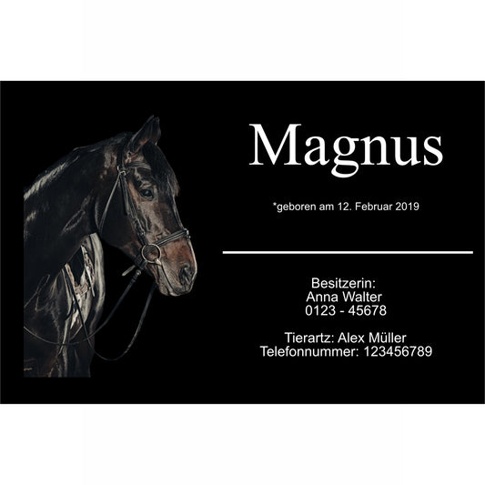 Premium Boxenschild Pferd personalisiert – Elegantes Schwarz Design mit Foto