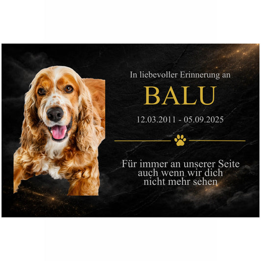Gedenkschild Hund Modell Aureo – Personalisiert mit Foto, Namen & Datum
